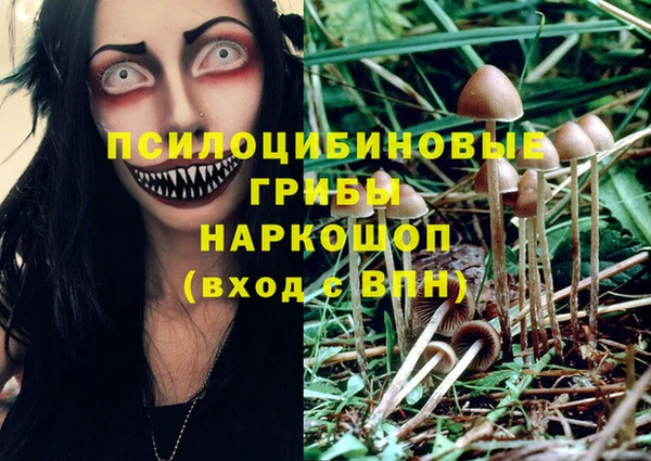 соль ск Новокубанск