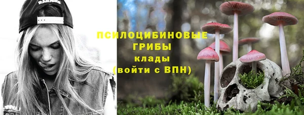 мдма Новозыбков